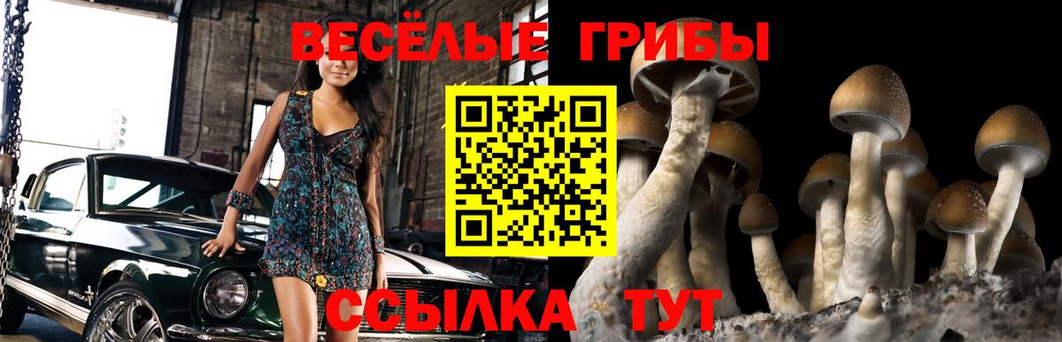 Галлюциногенные грибы мицелий  Вход с VPN  Кыштым 